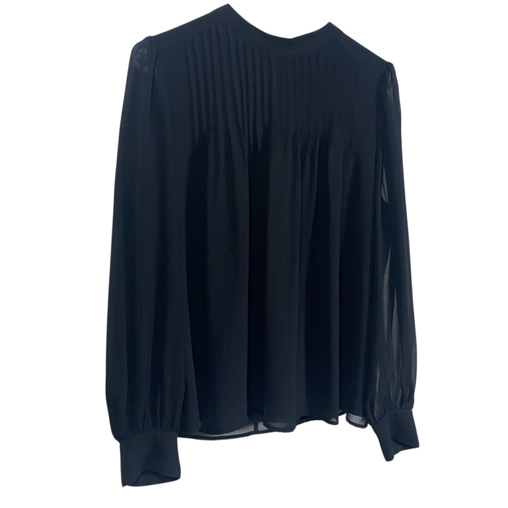 Flowy, Pleated Front, Sheer, Fairy, Whimsygoth Long Sleeve Blouse Black SZ L